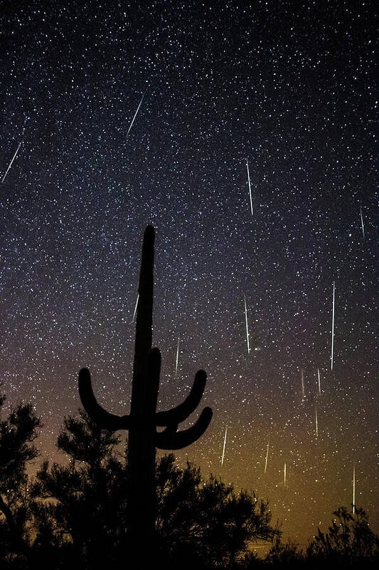 American Southwest Art Print featuring the photograph Geminid Meteor Shower #2, 2017 by James Capo