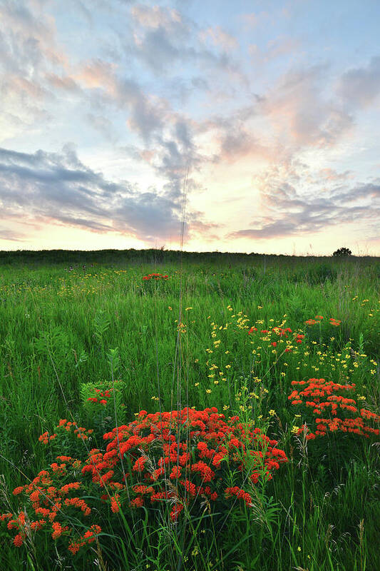 Illinois Art Print featuring the photograph Glacial Park Sunset by Ray Mathis
