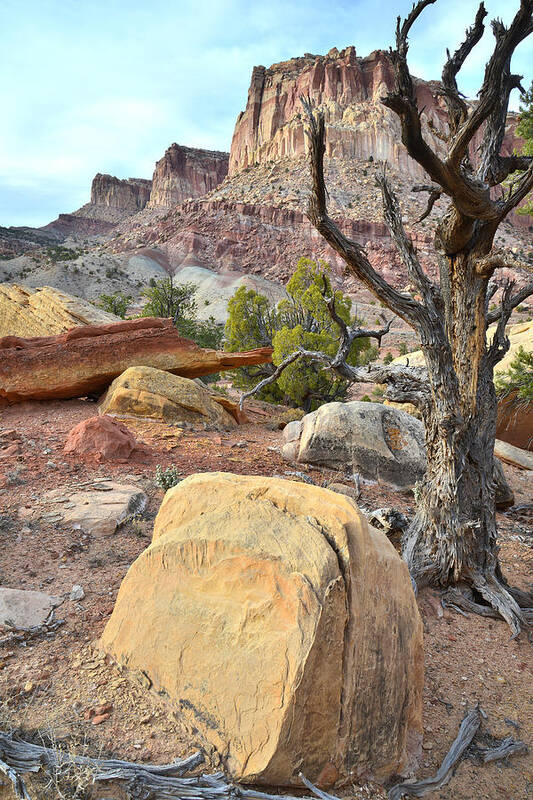 Capitol Reef National Park Art Print featuring the photograph Golden Headstone by Ray Mathis