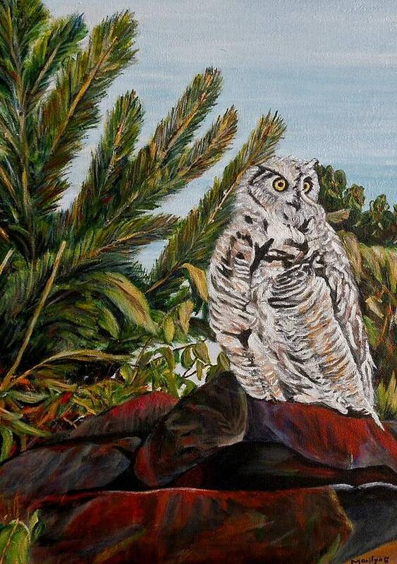 Great Horned Owl Art Print featuring the painting Great Horned Owl - Owl on the rocks by Marilyn McNish