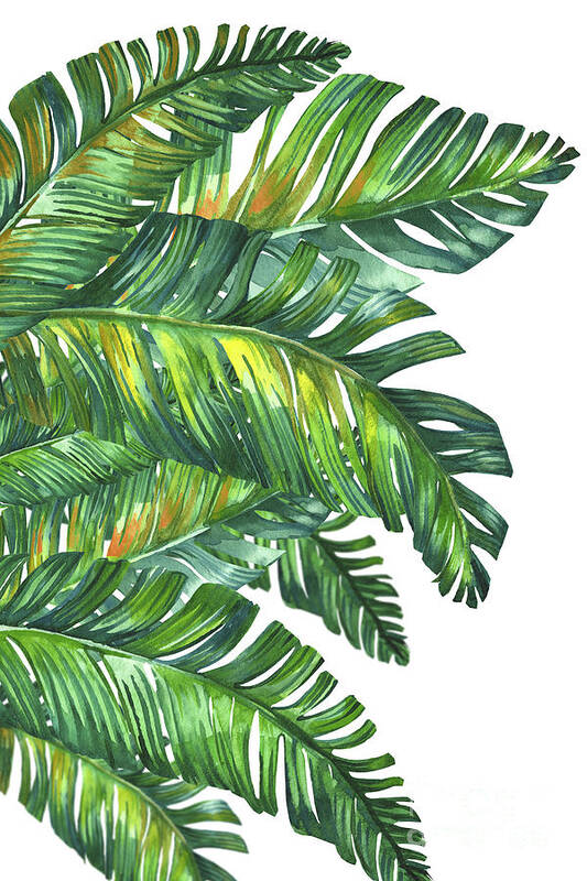 Tropical Leaves Art Print featuring the painting Green Tropic by Mark Ashkenazi