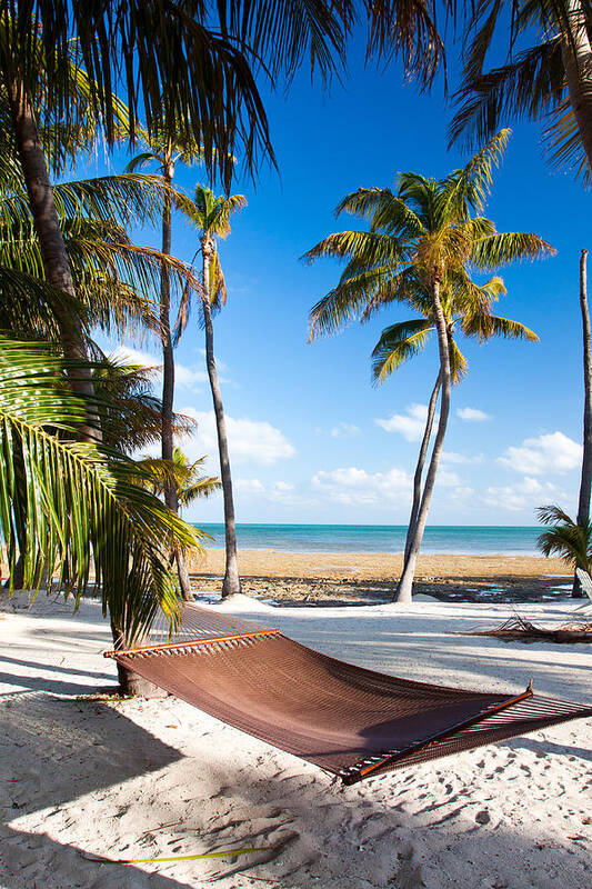 Florida Art Print featuring the photograph Hammock in Paradise by Adam Pender