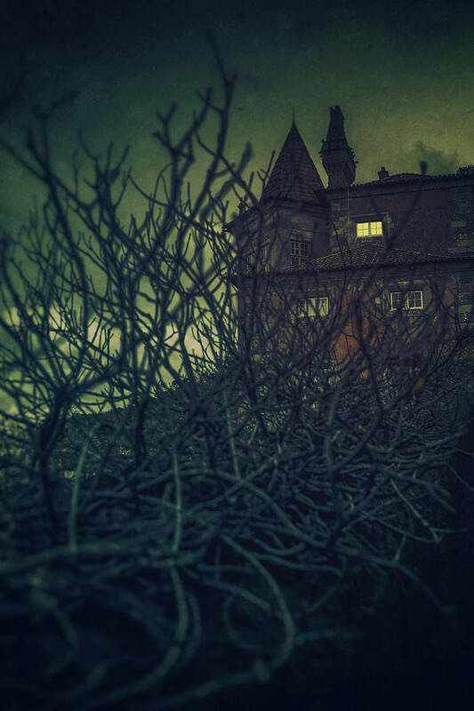 Abandoned Art Print featuring the photograph Haunted Mansion by Carlos Caetano