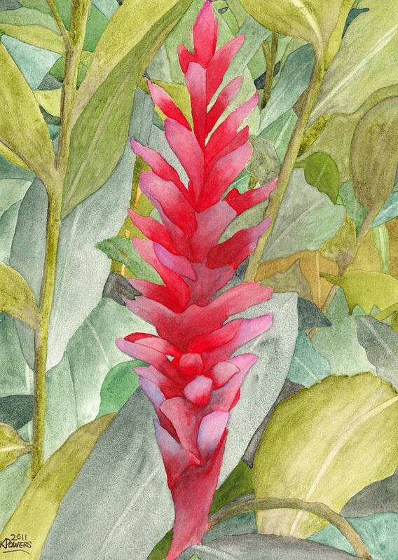Floral Art Print featuring the painting Hawaiian Beauty by Ken Powers