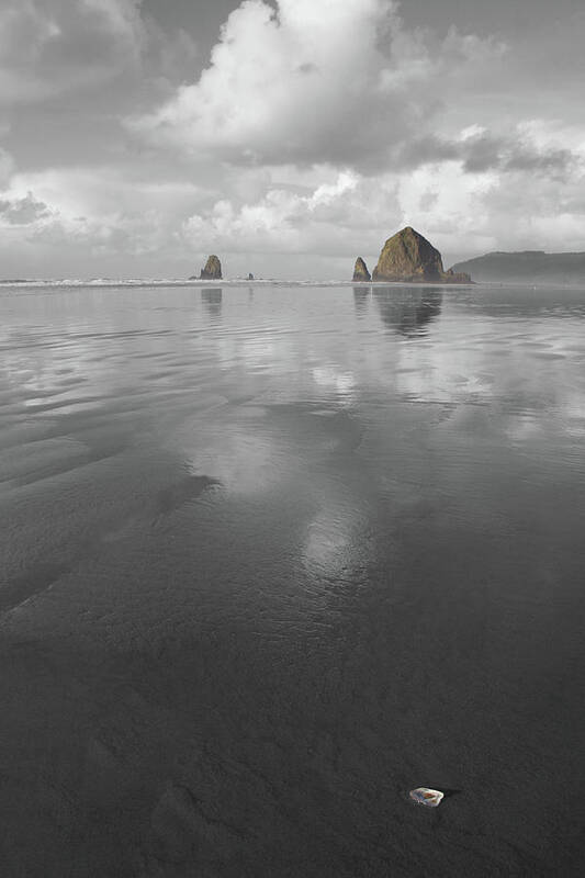 Haystack Shell Art Print featuring the photograph Haystack Shell by Dylan Punke
