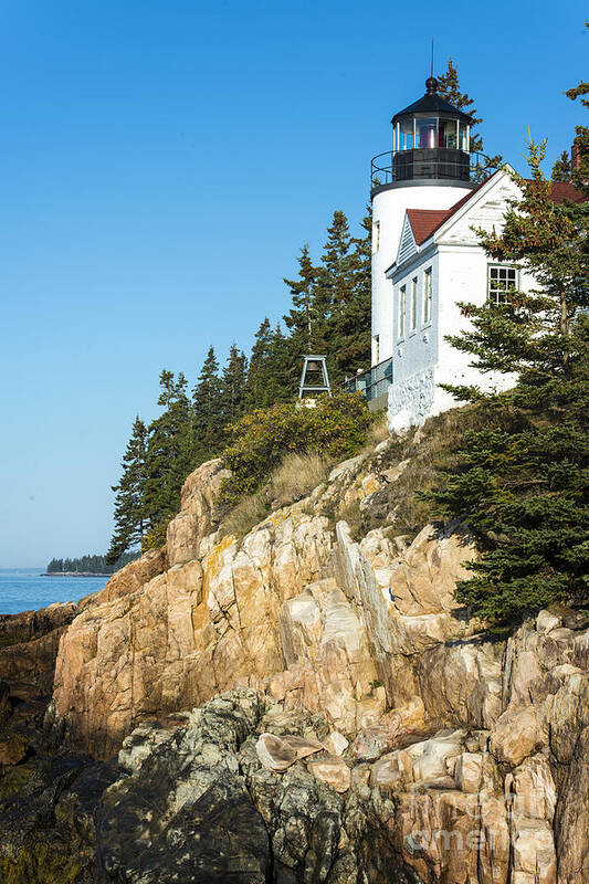 Bass Harbor Art Print featuring the photograph Head Lighthouse by Anthony Baatz