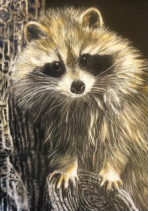 Racoon Art Print featuring the drawing Hello by Stella Marin