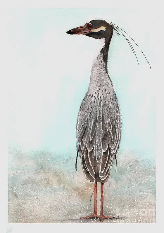 Heron Art Print featuring the painting Heron Posing by Hilda Wagner