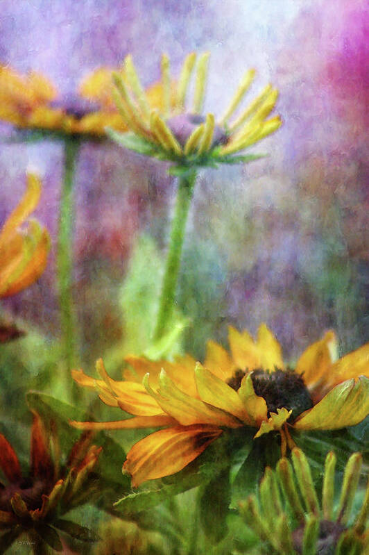 Impressionist Art Print featuring the photograph Hidden Reality 2761 IDP_2 by Steven Ward