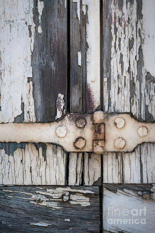Shutters Art Print featuring the photograph Hinge on old shutters by Elena Elisseeva
