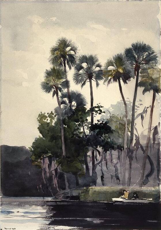 Winslow Homer (american Art Print featuring the painting Homosassa River by MotionAge Designs
