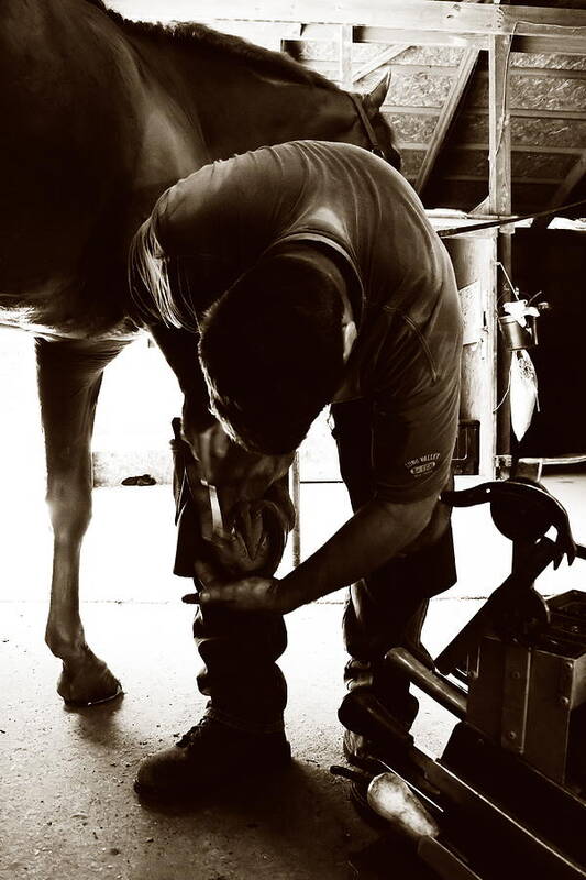 Farrier Art Print featuring the photograph Horse and Farrier by Angela Rath