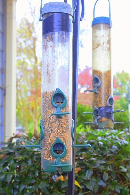 Saturation Filter Art Print featuring the photograph Humming Bird Feeders 2 Saturated in Color by Ali Baucom
