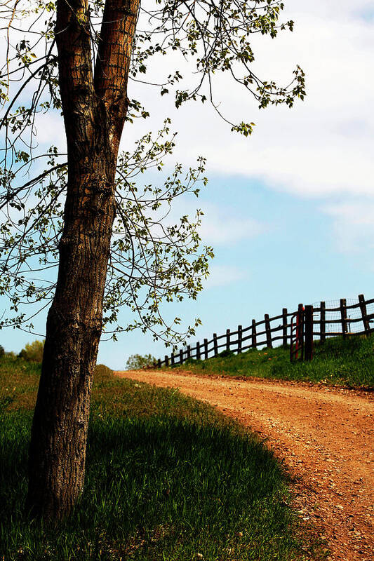 Walk Art Print featuring the photograph I Walk the Gravel Road by Marilyn Hunt