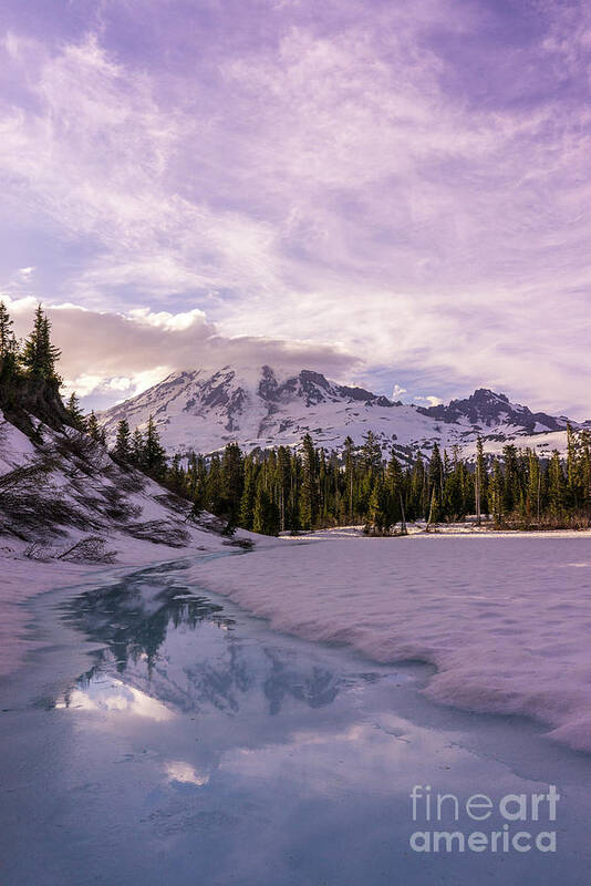 Mount Rainier Art Print featuring the photograph Icy Rainier Reflection by Mike Reid
