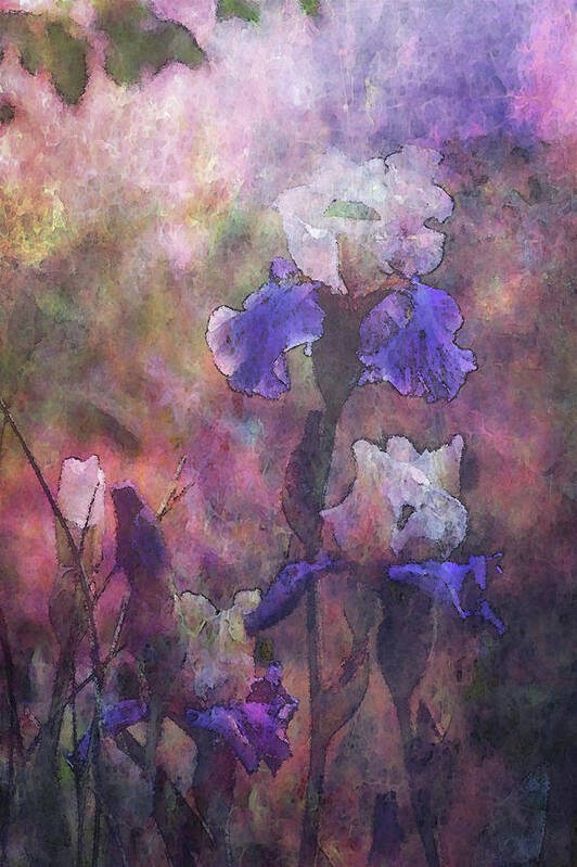 Impressionist Art Print featuring the photograph Impressionist Purple and White Irises 6647 IDP_2 by Steven Ward