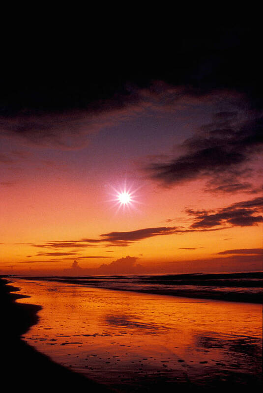 Star Art Print featuring the photograph Isle of Palms by Gerard Fritz