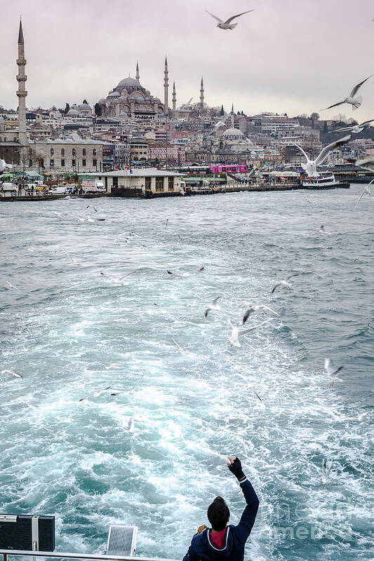Birds Art Print featuring the photograph Istanbul to Kadikoy, Ferry Ride on the Golden Horn by Perry Rodriguez