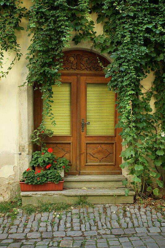 Ivy Art Print featuring the photograph Ivy Covered Door by Rebekah Zivicki
