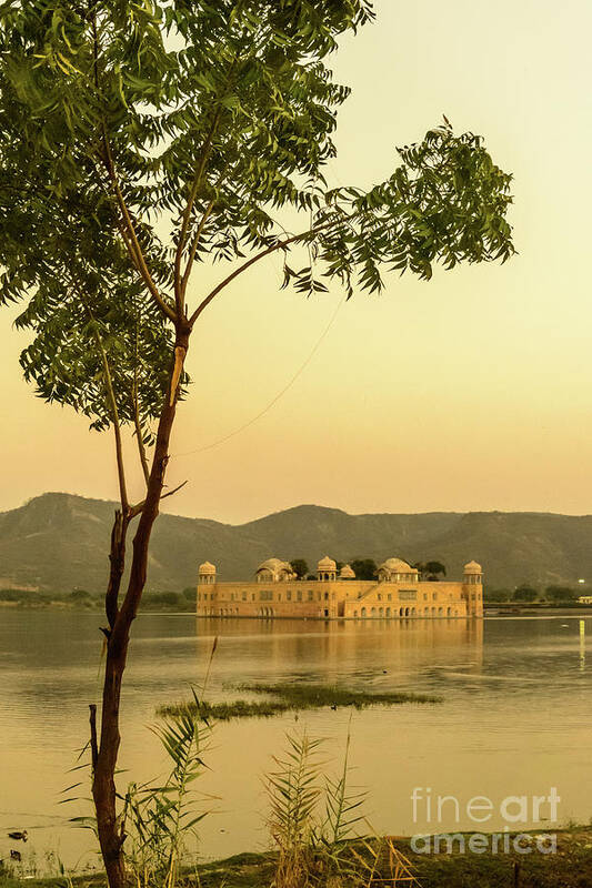 Lake Art Print featuring the photograph Jal Mahal by Werner Padarin