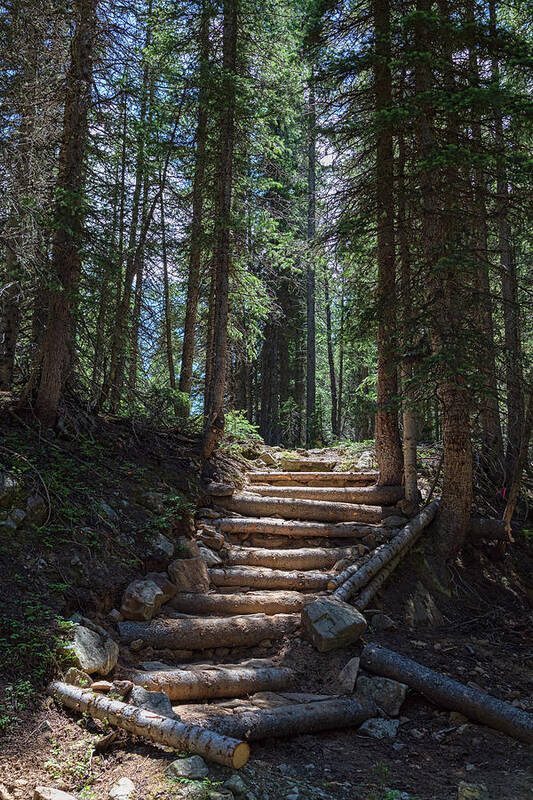 Natural Art Print featuring the photograph Just Another Stairway To Heaven by James BO Insogna
