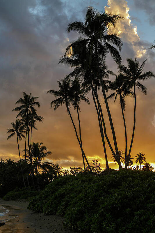 Beach Art Print featuring the photograph Kawaikui Sunset 4 by Leigh Anne Meeks