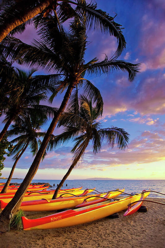 Maui Hawaii Seascape Canoes Palmtrees Sunset Art Print featuring the photograph Kihei Canoe Club by James Roemmling