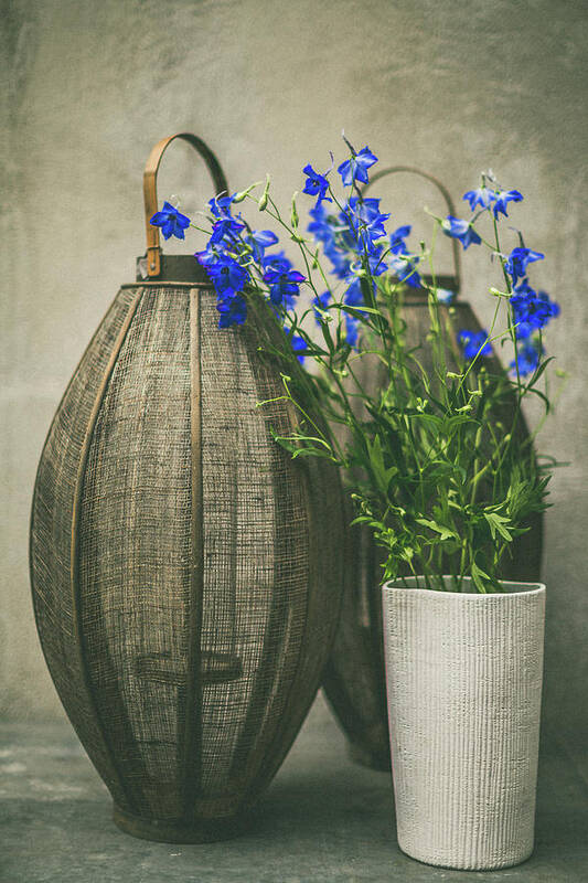 Botanical Art Print featuring the photograph Lanterns and blue flowers by Yancho Sabev Art