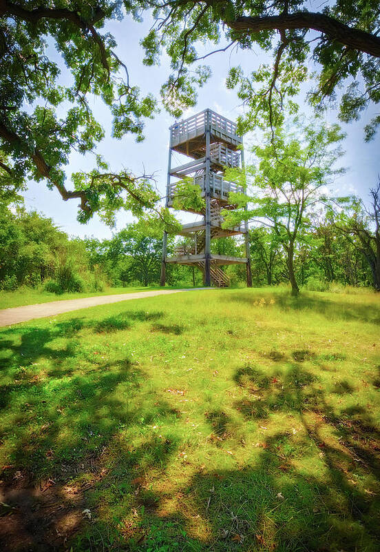 Jennifer Rondinelli Reilly Art Print featuring the photograph Lapham Peak's Wooden Observation Tower #3 by Jennifer Rondinelli Reilly - Fine Art Photography