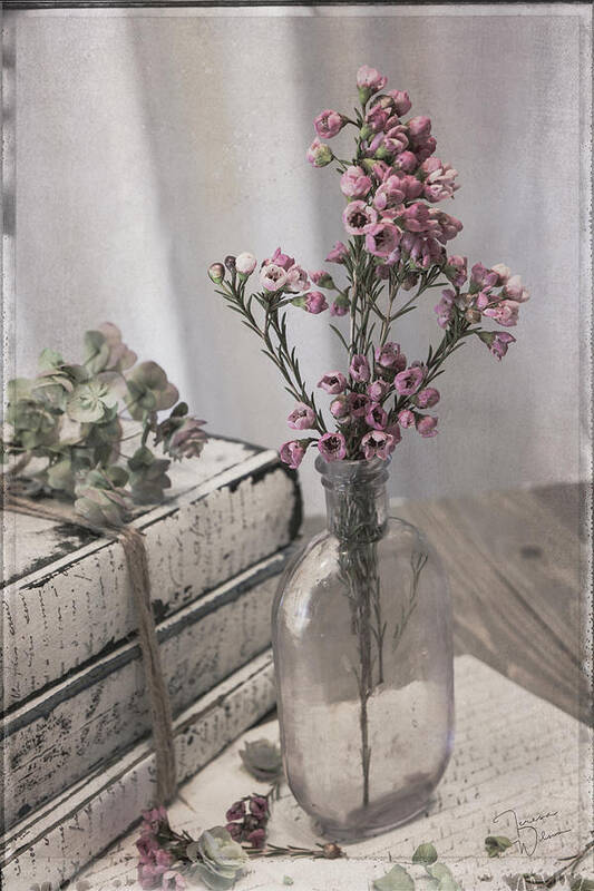 Flowers Art Print featuring the photograph Lavender Bottle with Waxflowers by Teresa Wilson