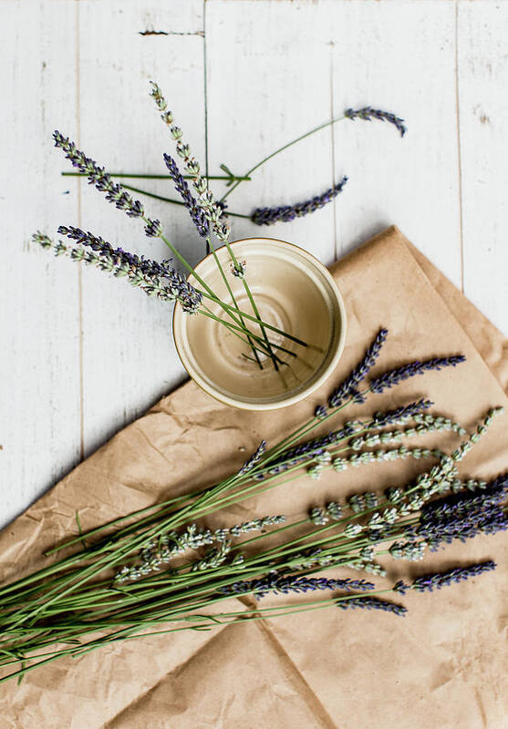 Basil Art Print featuring the photograph Lavender Still Life 1 by Rebecca Cozart