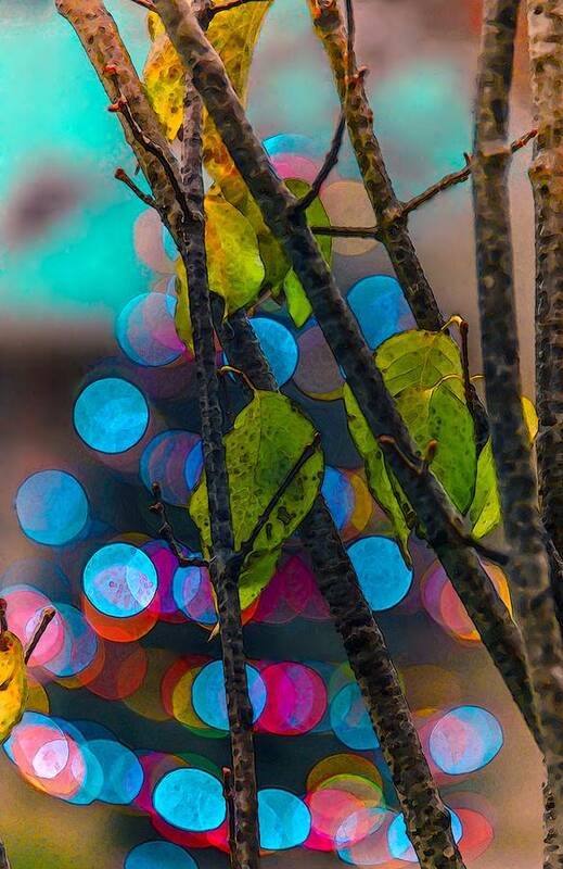 Winter Art Print featuring the photograph Leaf and Light by Abbie Loyd Kern