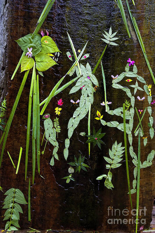 Leaf Art Art Print featuring the photograph Leaf Art by Jon Burch Photography