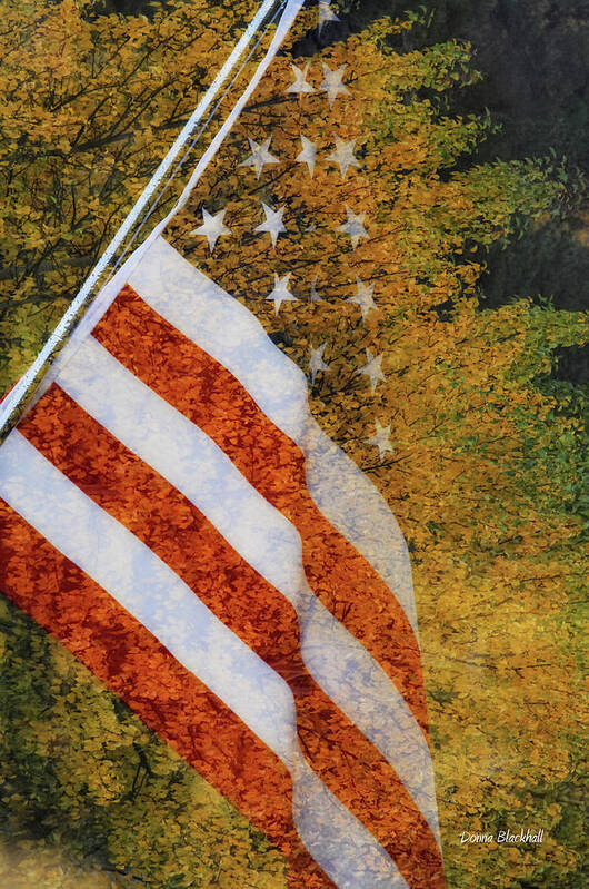 Flag Art Print featuring the photograph Let Freedom Ring by Donna Blackhall