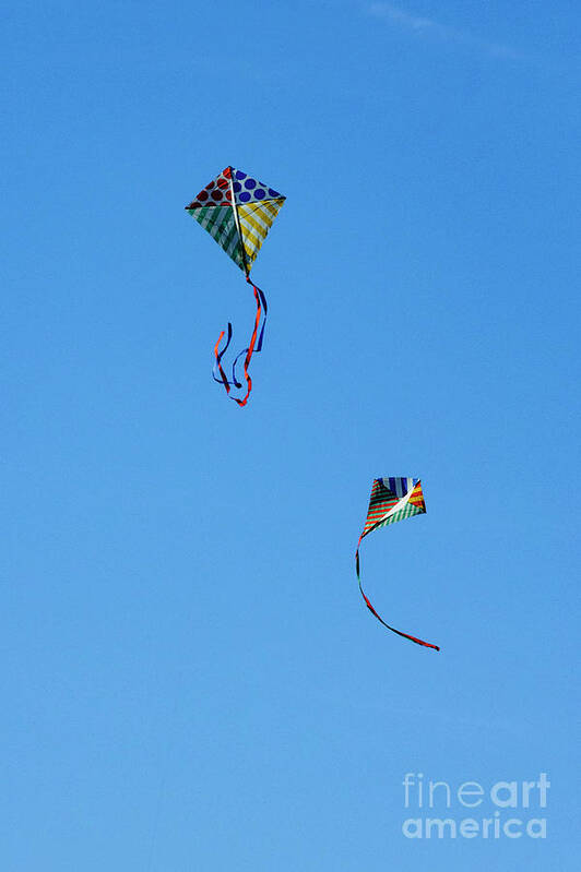 Kites Art Print featuring the photograph Let's Fly Away by Debra Fedchin