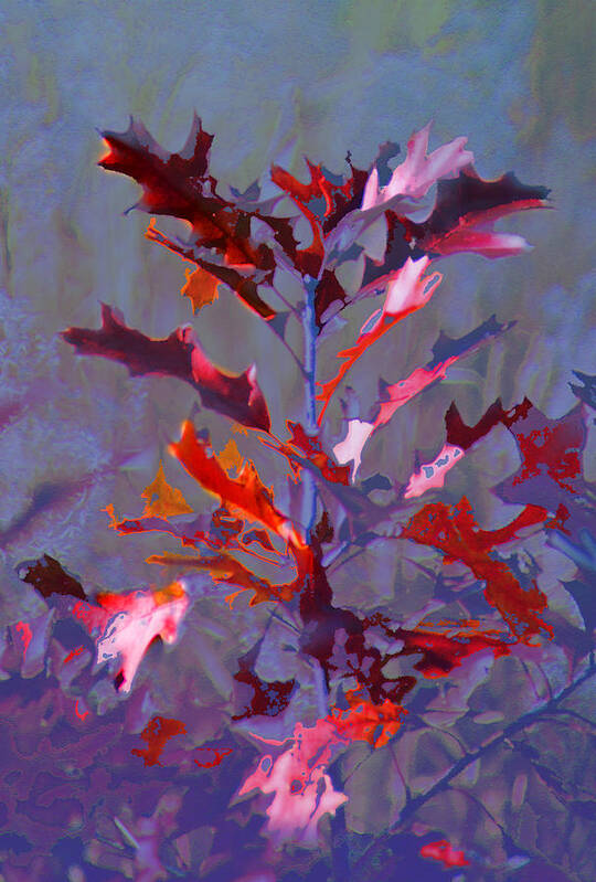Oak Leaves Art Print featuring the photograph Lit by the Hunter's Moon by Steve Karol
