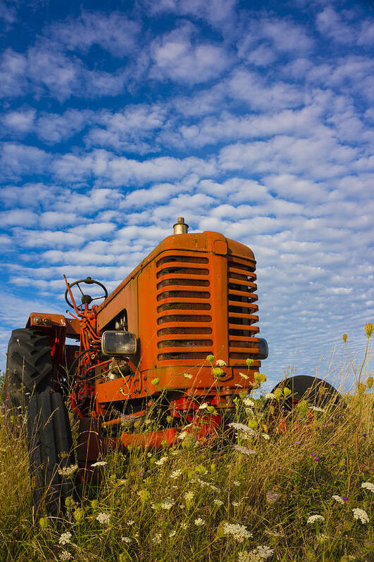Tractor Art Print featuring the photograph Little red Tractor by John Paul Cullen