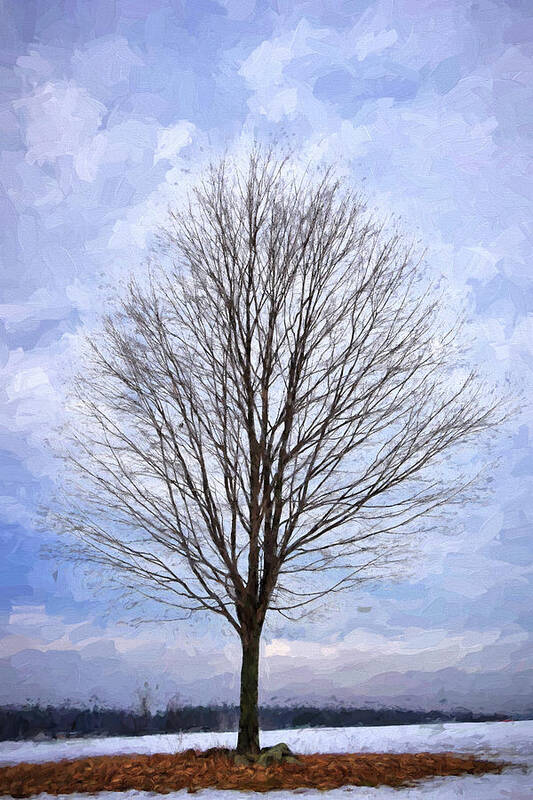 Tree Art Print featuring the photograph Lone Tree by Tricia Marchlik