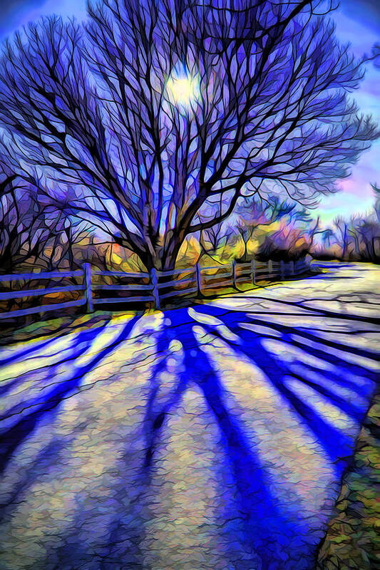 Colorful Tree Art Print featuring the digital art Long afternoon shadows by Lilia D