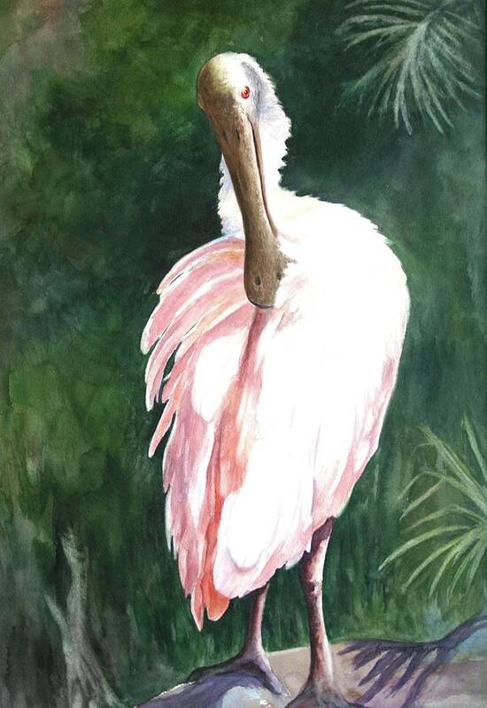 Spoonbill Art Print featuring the painting Look'n Back - Spoonbill by Roxanne Tobaison