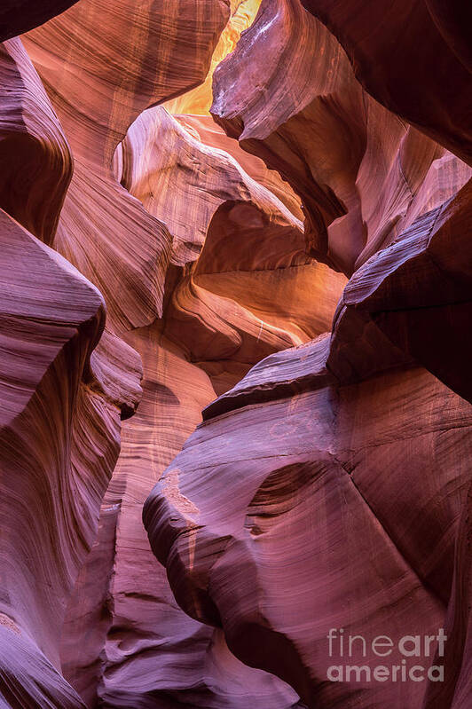 Lower Antelope Canyon Art Print featuring the photograph Loower Antelope Canyon by Craig Shaknis