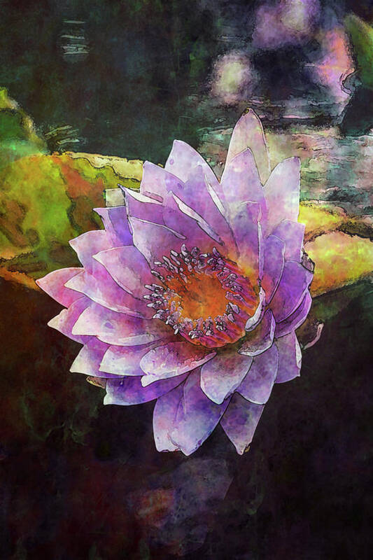 Lost Art Print featuring the photograph Lost Lavender Lotus Blossom 4725 LDP_2 by Steven Ward