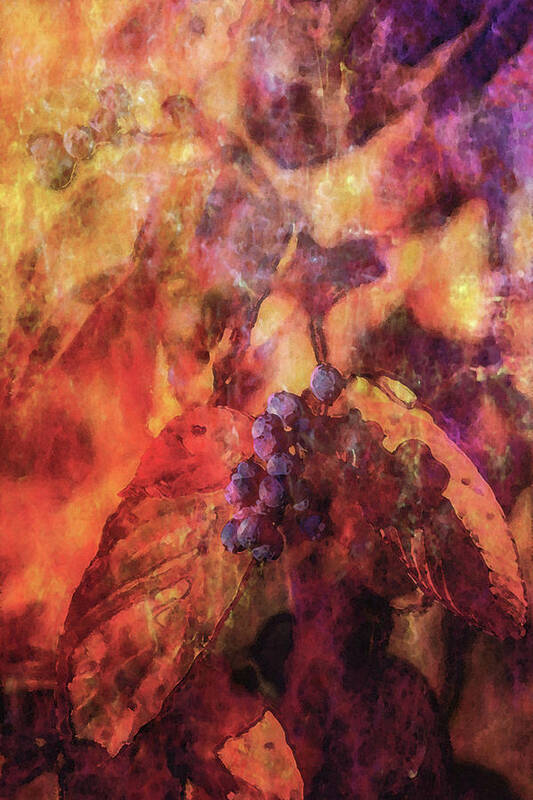 Lost Art Print featuring the photograph Lost Purple Berries in Autumn 6040 LDP_2 by Steven Ward