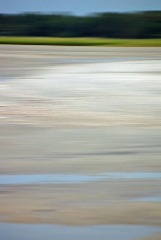 Coastal Art Print featuring the photograph Low Country Coastal Blur by Suzanne Gaff