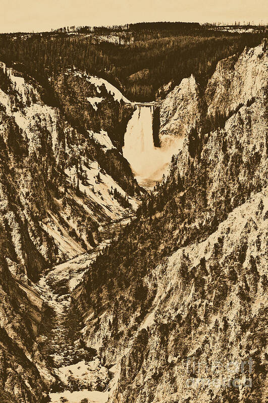 Yellowstone Art Print featuring the photograph Lower Falls Viewed from Artist Point Yellowstone National Park Wyoming Rustic Digital Art by Shawn O'Brien