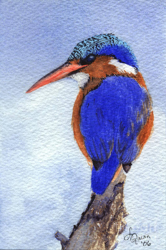 Bird Art Print featuring the painting Malachite Kingfisher by Lynn Quinn