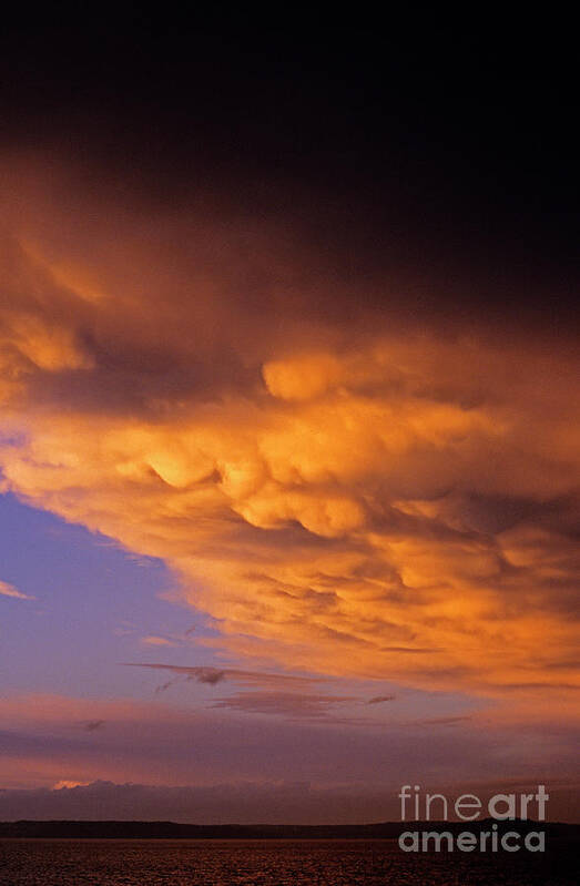 Sky Art Print featuring the photograph Mammato-Cumulus Clouds at Sunset over Puget Sound by Jim Corwin