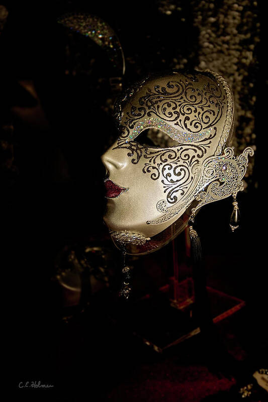 Mask Art Print featuring the photograph Mardi Gras Mask by Christopher Holmes