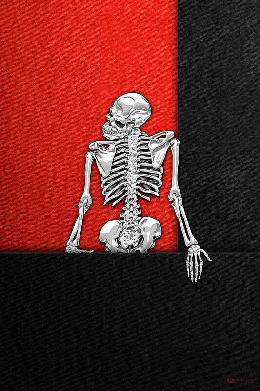 'visual Art Pop' Collection By Serge Averbukh Art Print featuring the digital art Memento Mori - Silver Human Skeleton on Black and Red Canvas by Serge Averbukh