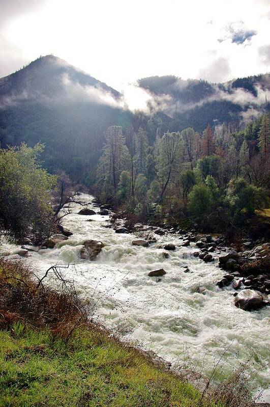 Merced River Art Print featuring the photograph Mercrd River Ca A by Phyllis Spoor